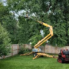 Best Lot and Land Clearing  in Derby, KS