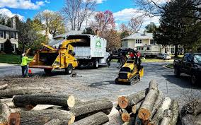 How Our Tree Care Process Works  in  Derby, KS